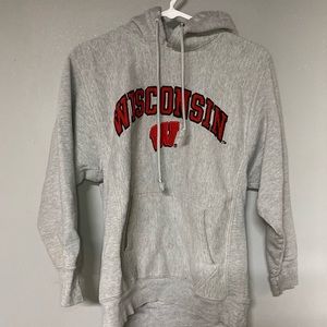Wisconsin Sweatshirt with hood